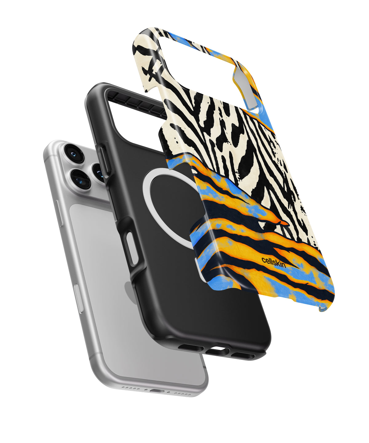 Zebra Pop