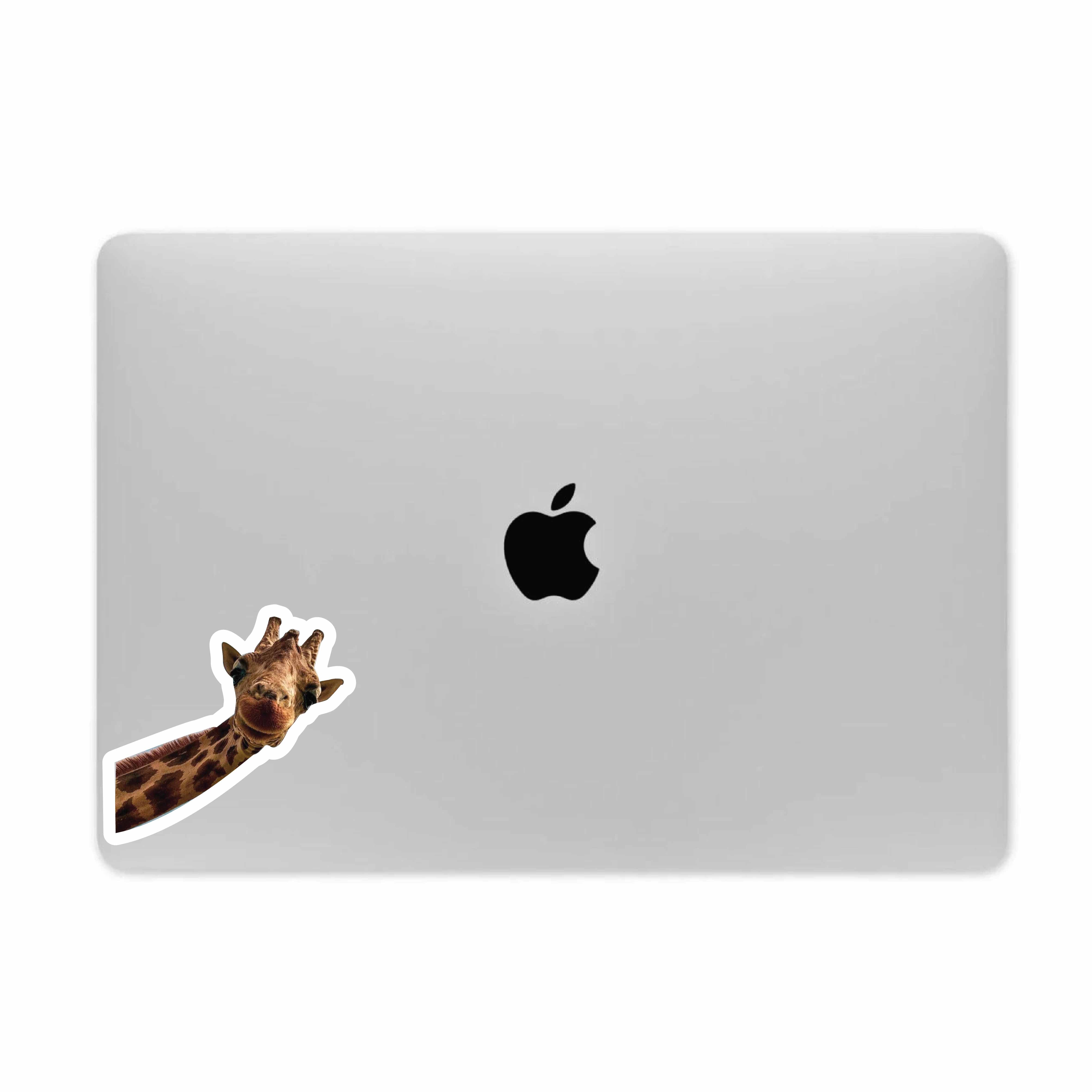 Zarafeh Sticker
